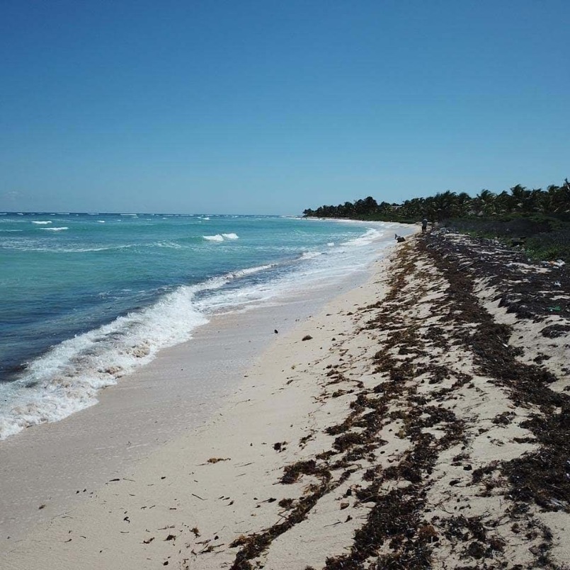Mahahual oceanfront lot for sale in Riviera Maya LT03